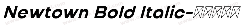 Newtown Bold Italic字体转换